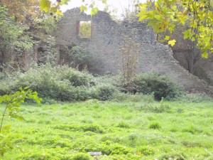 Bischwald Mill Ruins near Rhodes