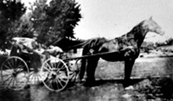 John's horse and buggy transportation